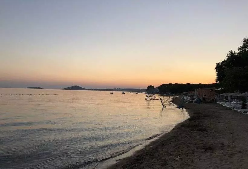 Demetgul Apart Pansiyon