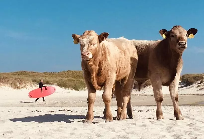 Kirkapol Beach Pod   Ebb