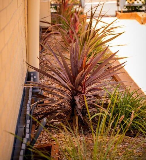 Мотель Pete S Place Roma