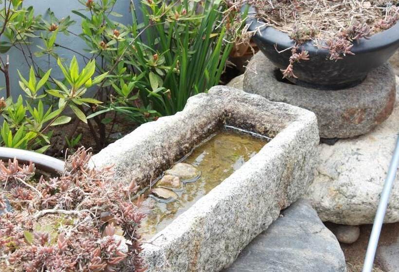 Pensión Samcheok Come To Play Guest House