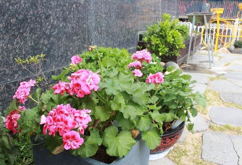 Pensión Samcheok Come To Play Guest House