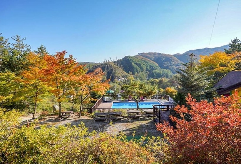 Pyeongchang Rocca And Delfino Pension