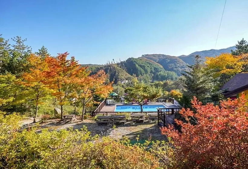 Pyeongchang Rocca And Delfino Pension