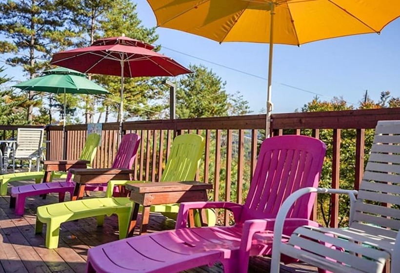 Pyeongchang Rocca And Delfino Pension