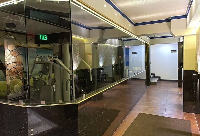 هتل Palmera Dorada