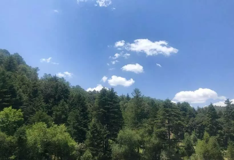 Hotelli Cabañas Tlalpujahua