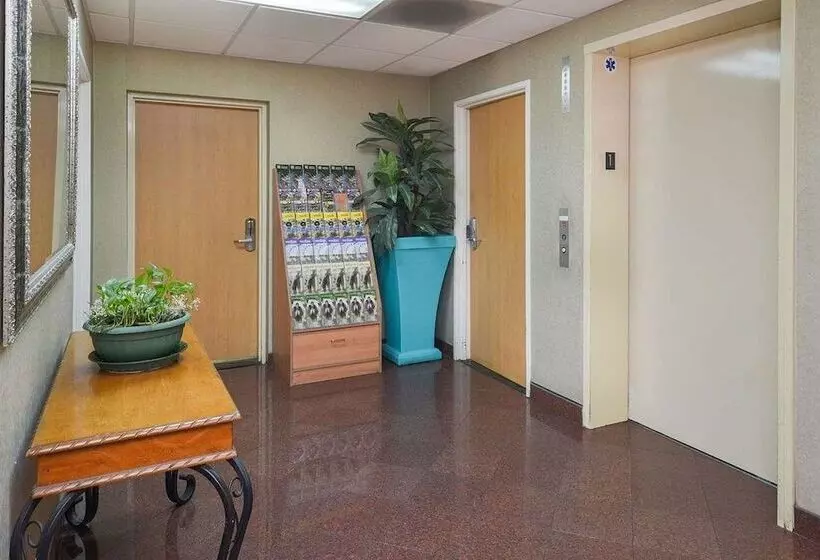 ホテル H3 Inn & Suites Lax Airport Los Angeles