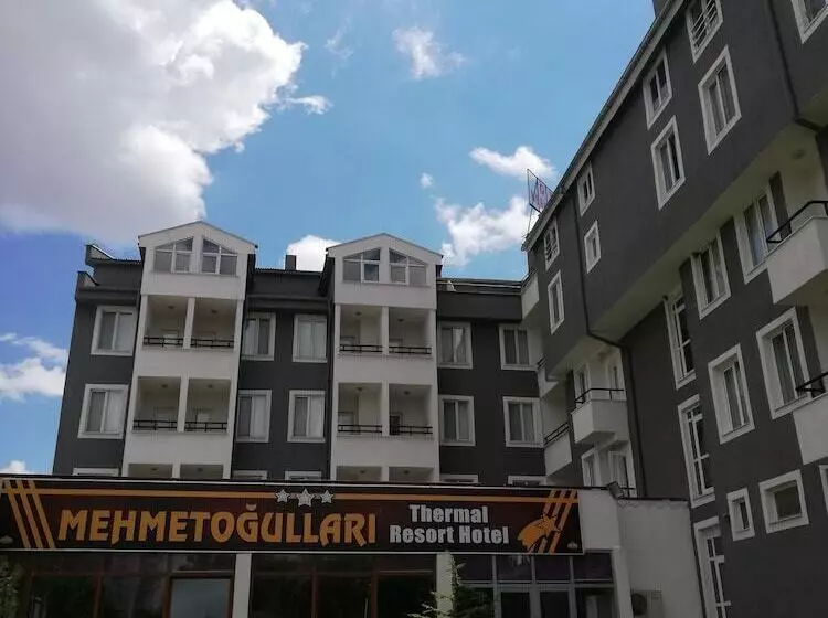 ホテル Mehmetoğulları Thermal Resort