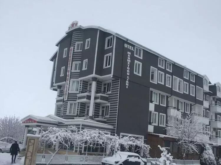 ホテル Mehmetoğulları Thermal Resort
