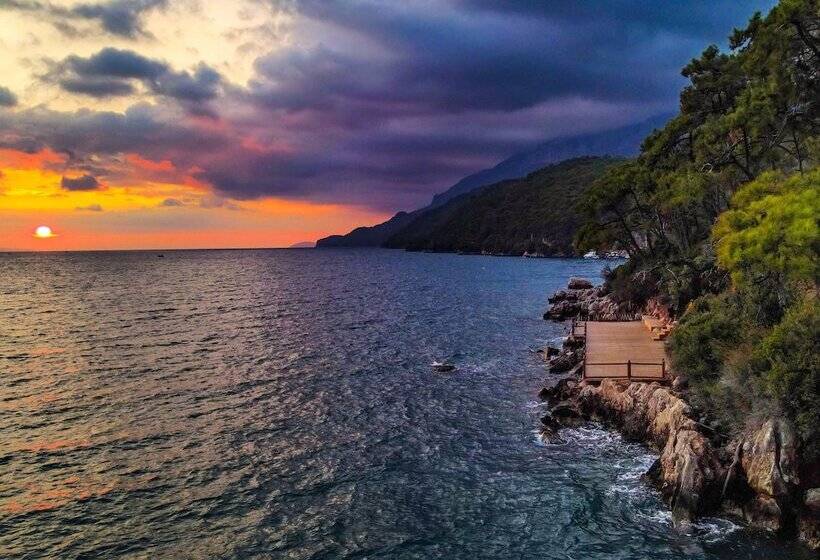 Liya Boutique Hotel & Suites