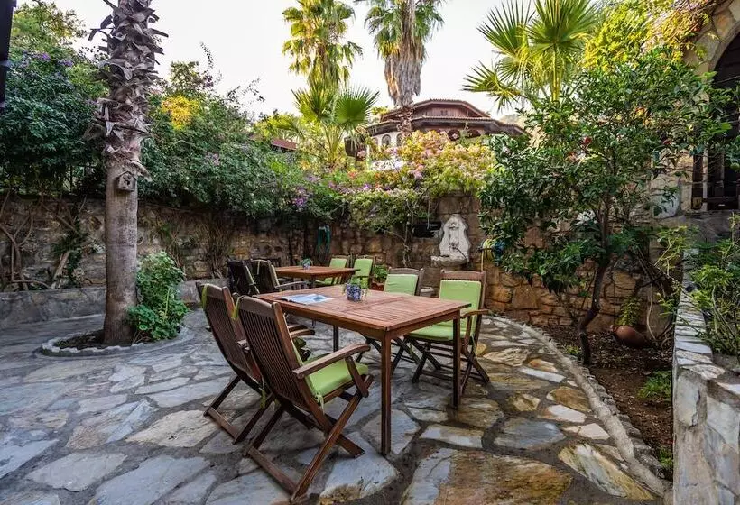 Liya Boutique Hotel & Suites