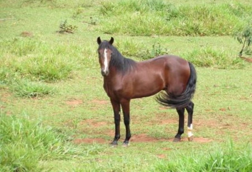 فندق Fazenda Topada