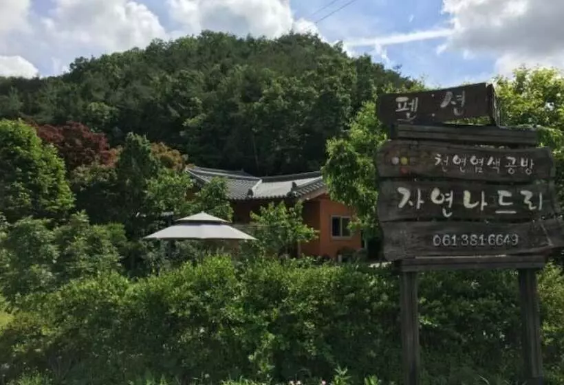 Damyang Natural Nadeuri Pension