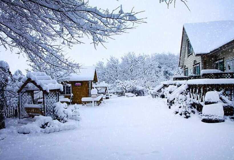 Gyeongju Forever Pension