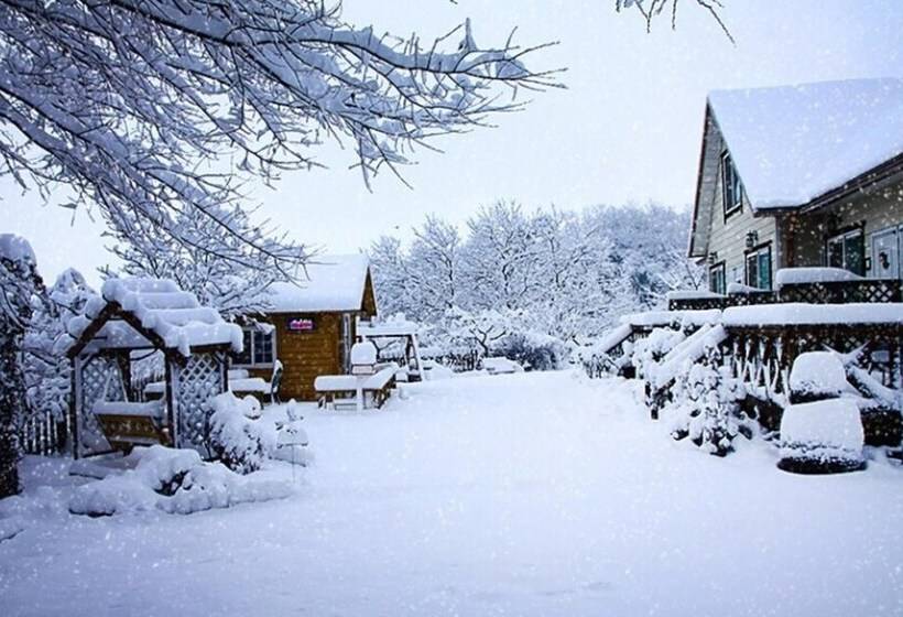 Gyeongju Forever Pension