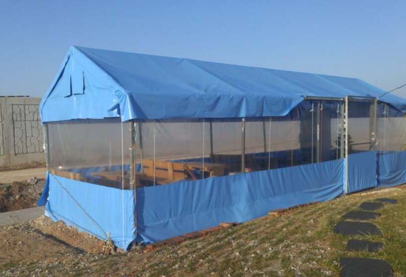 Hongseong Nemo Pension