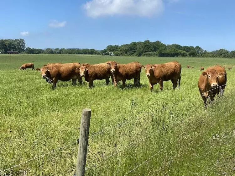 Hotelli Villa Brunnby