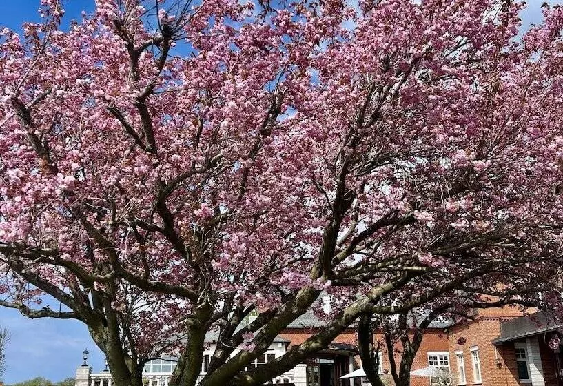 Hotelli Villa Brunnby