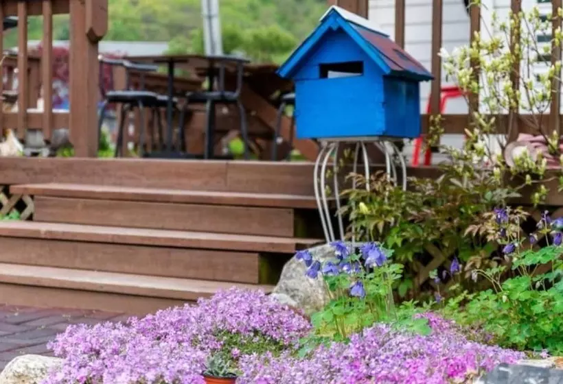 Paju Sandle Pension