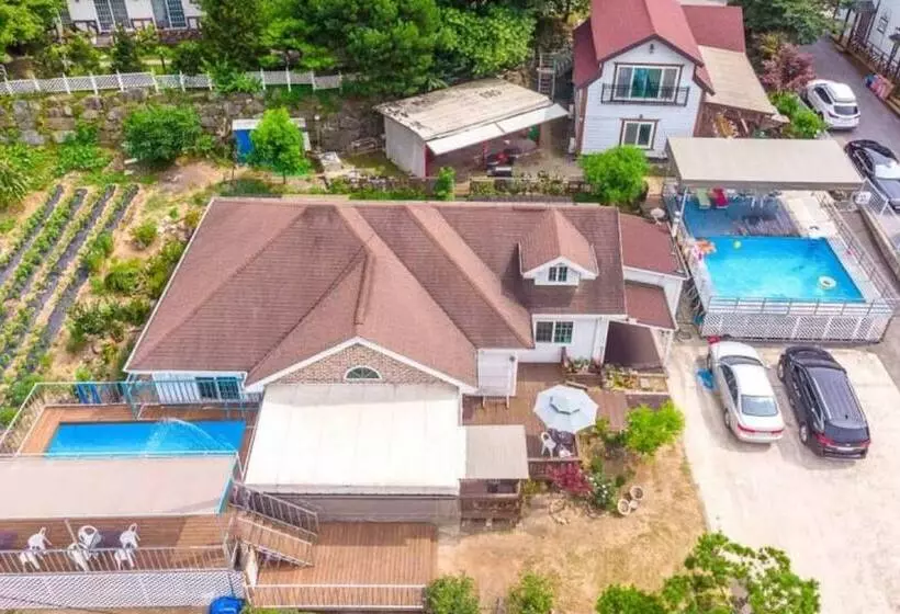 Paju Sandle Pension