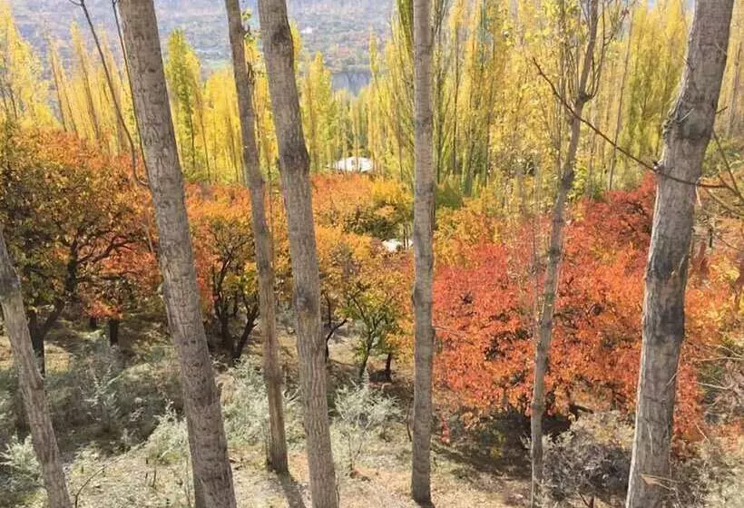 پانسیون The Hunza Executive Resort