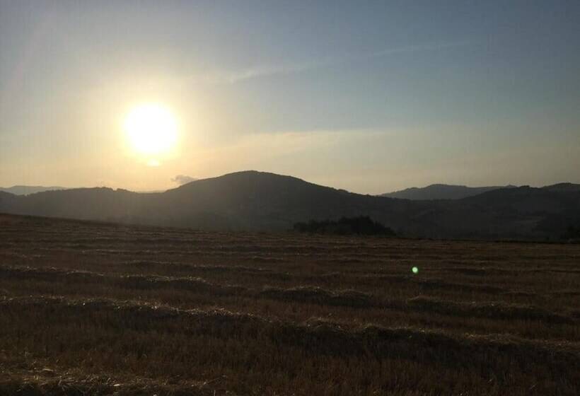 레지던스 Captivating House In Palmoli Sleeps 2 Plus 2