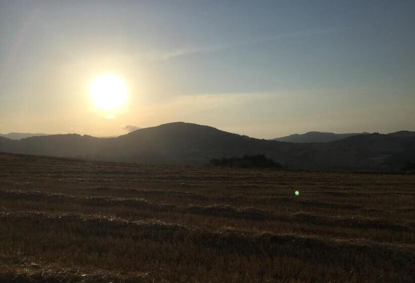 레지던스 Captivating House In Palmoli Sleeps 2 Plus 2