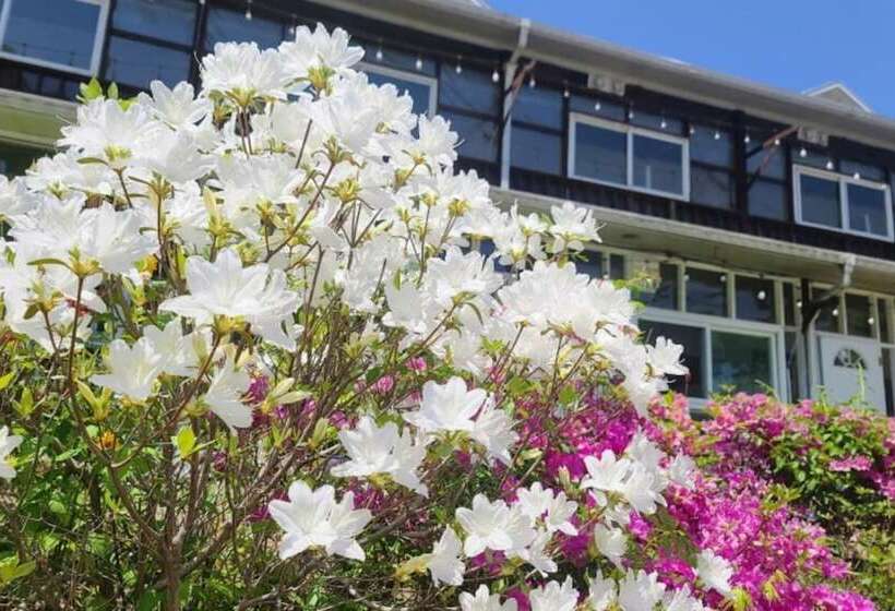 Gapyeong Draw You Pension