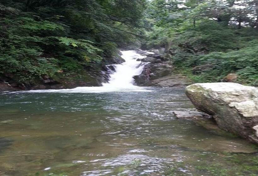 Morning Of Valley Pension Pocheon