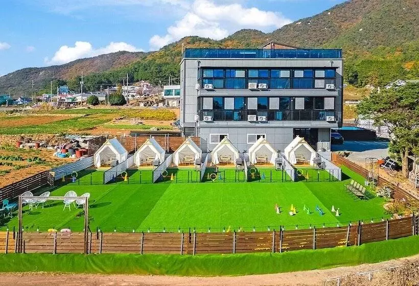 Namhae Dangdangi Dog Pension Blue