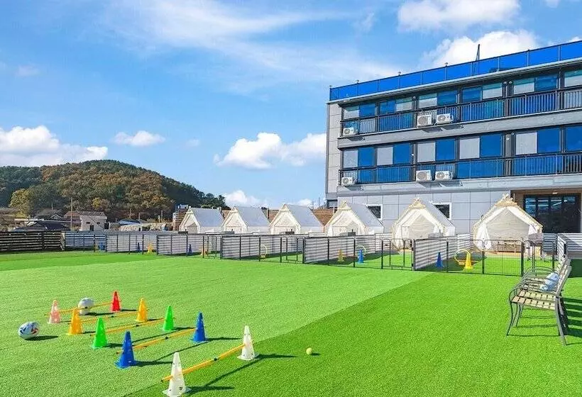 Namhae Dangdangi Dog Pension Blue