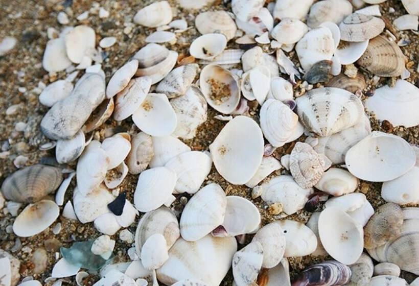 Yangyang Haegeum Pension