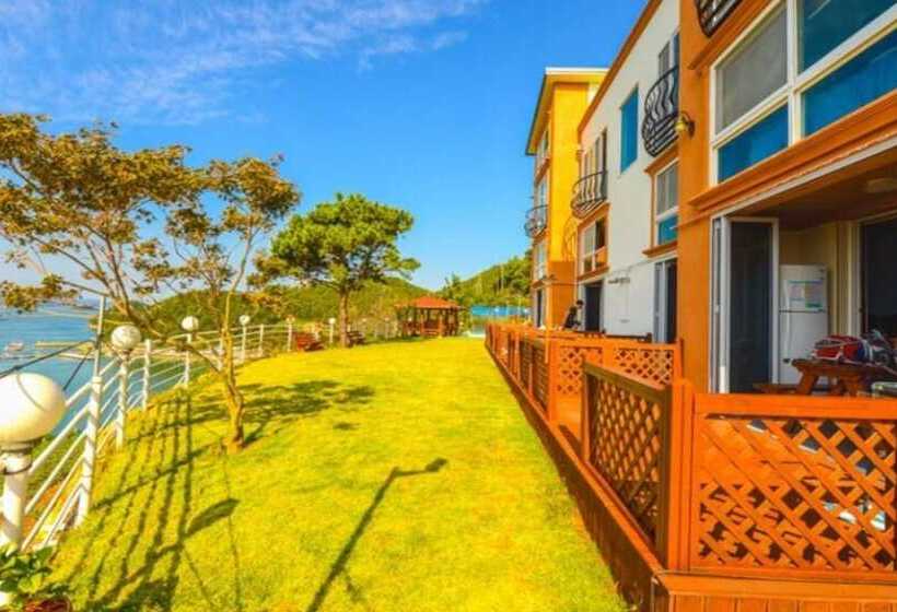 Yeosu The Sea Of Counting Stars Pension