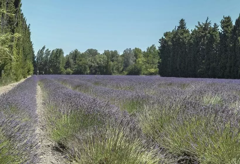 レジデンス Résidence Sun Hols   Les Rives Du Lac
