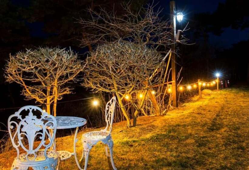 Taean Time Travel Pension