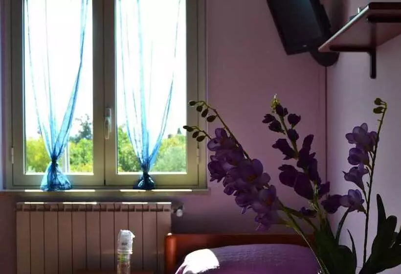 Room In B&b   Suite Rosa   B&b S. Elia