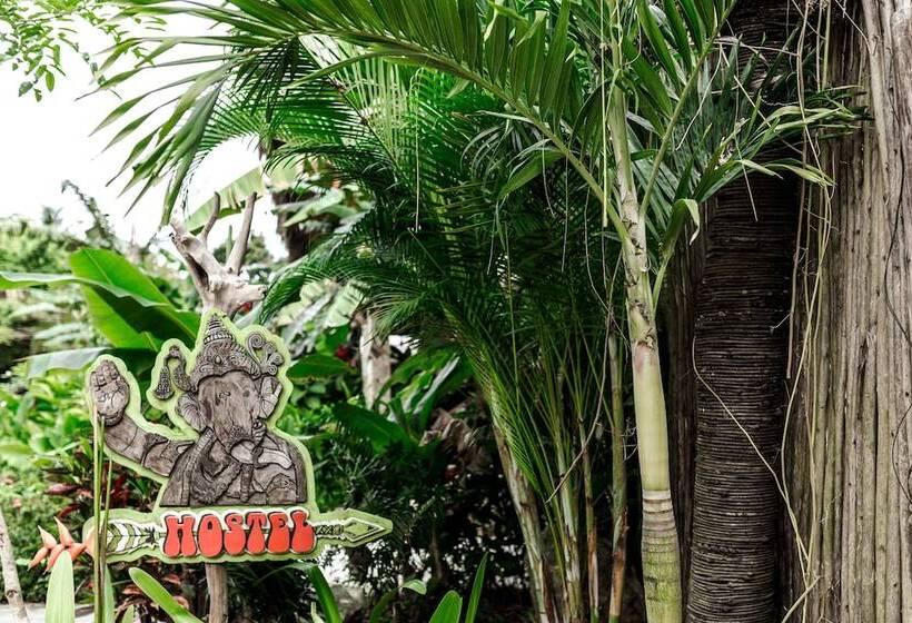 Ganesh El Valle Hostel