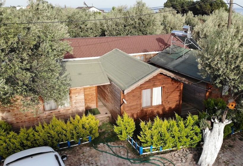 בית מלון כפרי Concept Bungalow