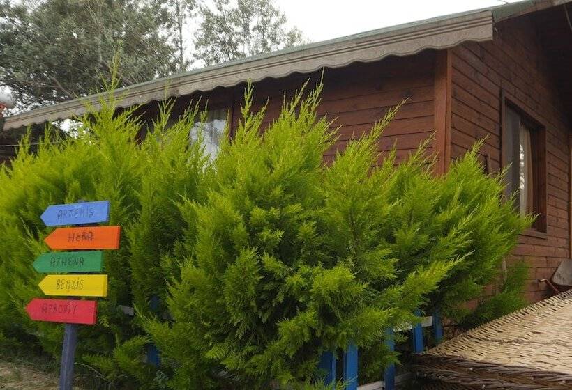 בית מלון כפרי Concept Bungalow