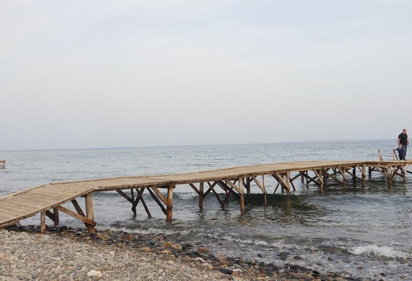 בית מלון כפרי Concept Bungalow