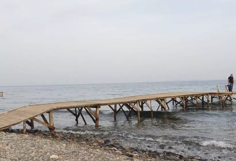 ホテル Concept Bungalow