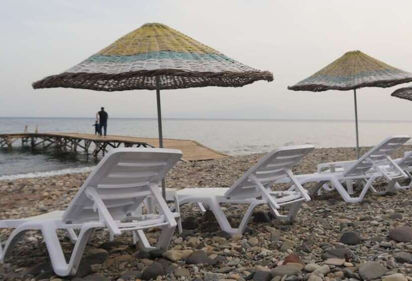 בית מלון כפרי Concept Bungalow