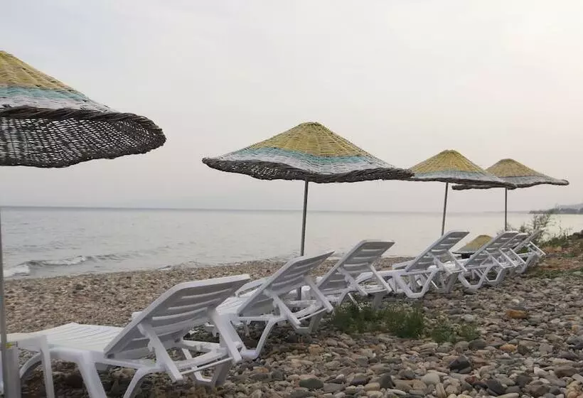 ホテル Concept Bungalow