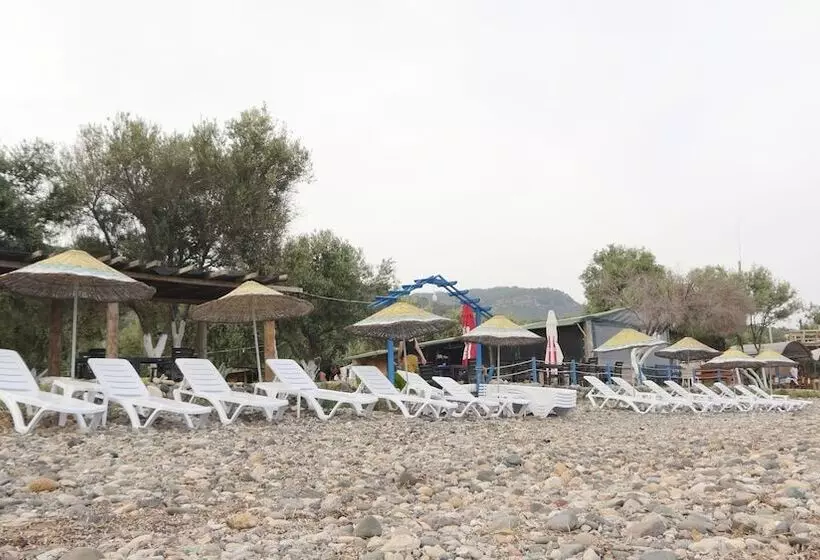 ホテル Concept Bungalow