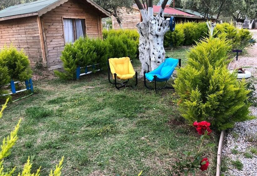 בית מלון כפרי Concept Bungalow