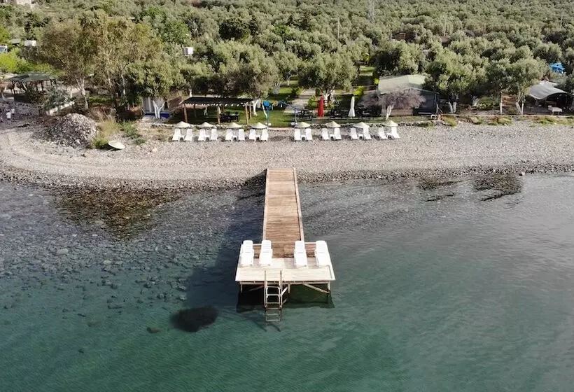 ホテル Concept Bungalow