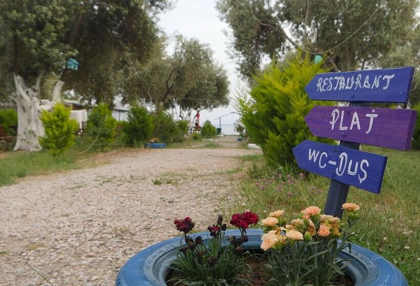 בית מלון כפרי Concept Bungalow