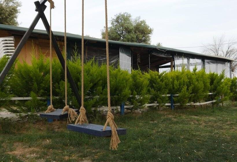 בית מלון כפרי Concept Bungalow