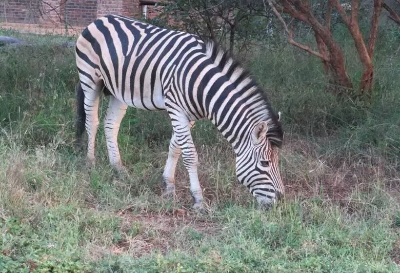 ホテル Kruger Maroela Lodge