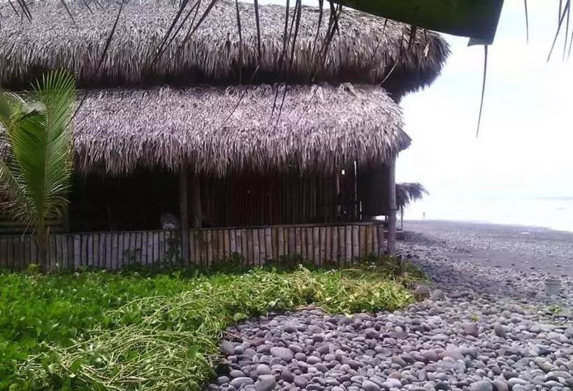 هتل Pelicano Surf Camp